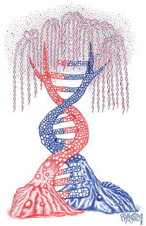 DNA Tree Drawing Original Pen And Ink Illustration By Artist Rick Frausto