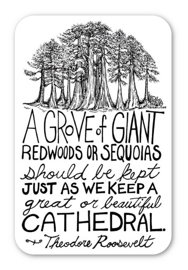 Grove Of Redwood Trees Eco Friendly Sticker With Theodore Roosevelt Quote By Artist Rick Frausto
